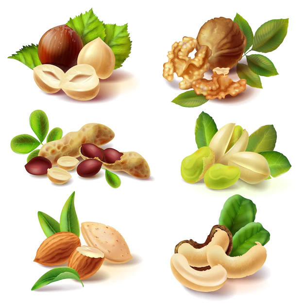 Free Vector | Different nuts realistic set