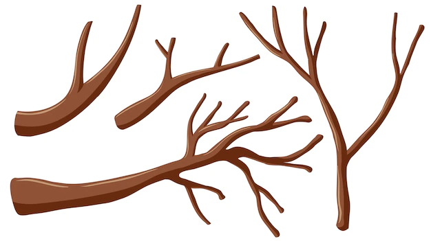 Free Vector | Different shapes of branches