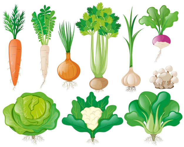 Free Vector | Different types of vegetables