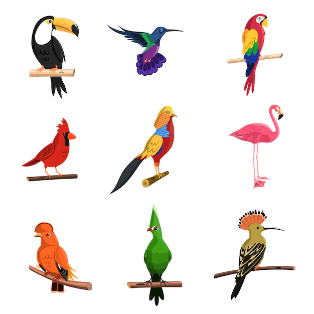 Free Vector | Exotic birds set