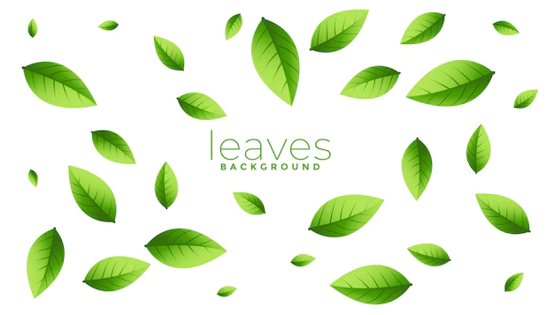 Free Vector | Falling scattered green leaves background