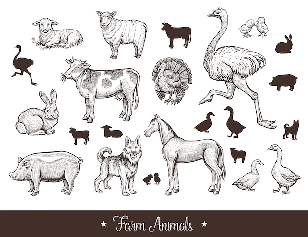 Free Vector | Farm animals vintage set