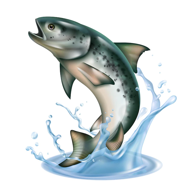 Free Vector | Fish jumping out of water with splashes isolated on white