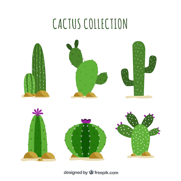Free Vector | Flat cactus with funny style