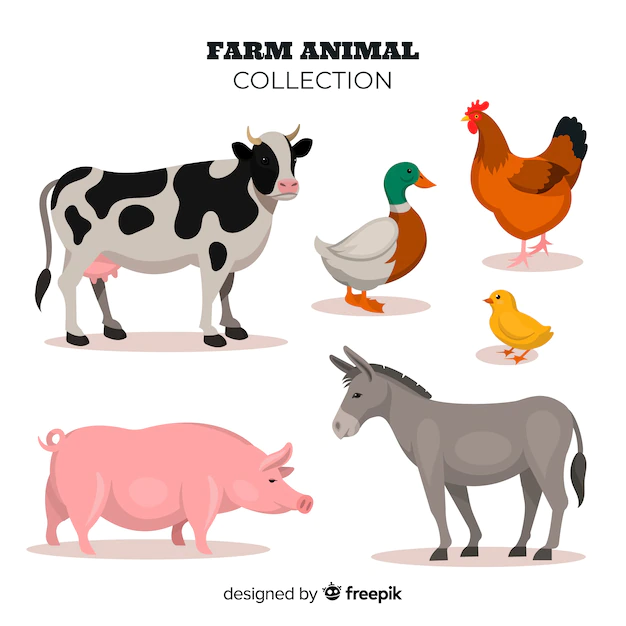 Free Vector | Flat design farm animal collection