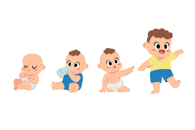 Free Vector | Flat design stages of a baby boy