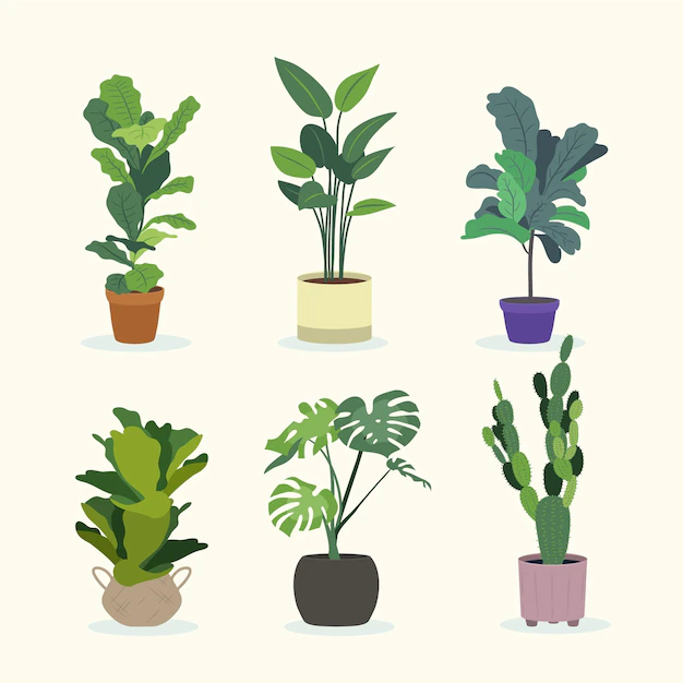 Free Vector | Flat houseplants illustrated collection