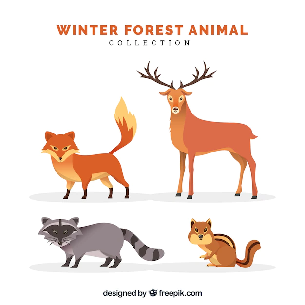 Free Vector | Flat winter animal collection
