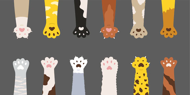Free Vector | Fluffy multicolored cats paws set