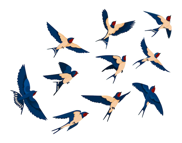 Free Vector | Flying bird various view collection set. flock of swallows isolated on white background. cartoon illustration