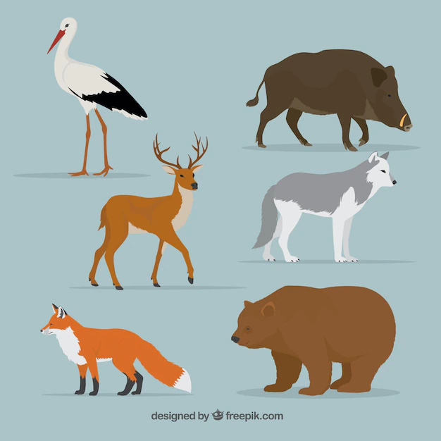 Free Vector | Forest animals set in realistic style