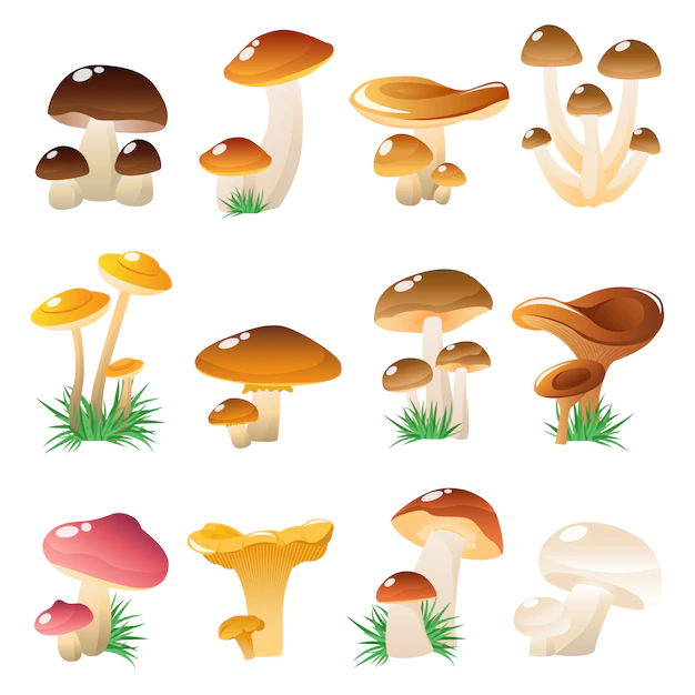 Free Vector | Forest mushtooms icon set