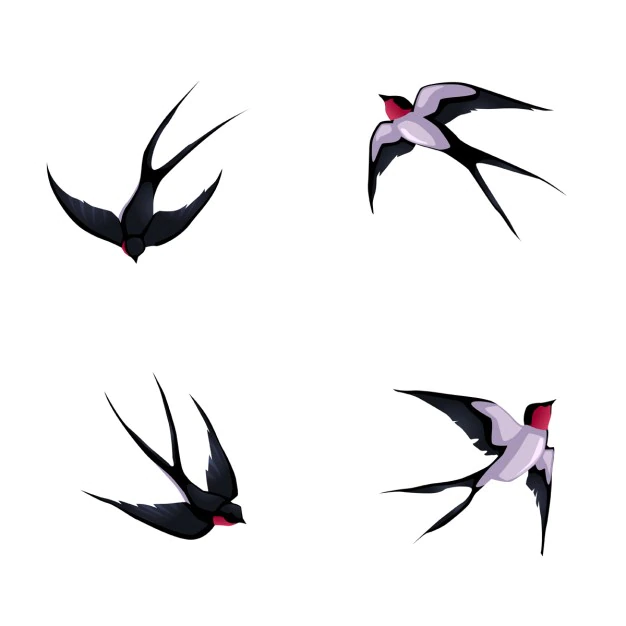 Free Vector | Four birds