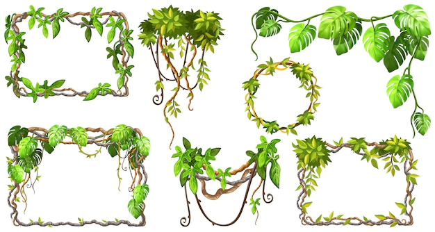Free Vector | Frames and lianas of branches and leaves