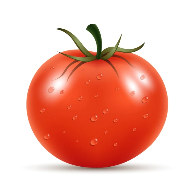 Free Vector | Fresh tomato