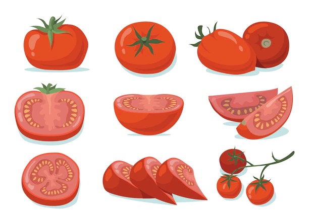Free Vector | Fresh tomatoes set