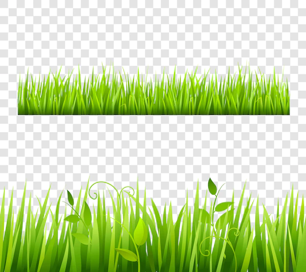 Free Vector | Green and bright grass border tileable transparent with plants