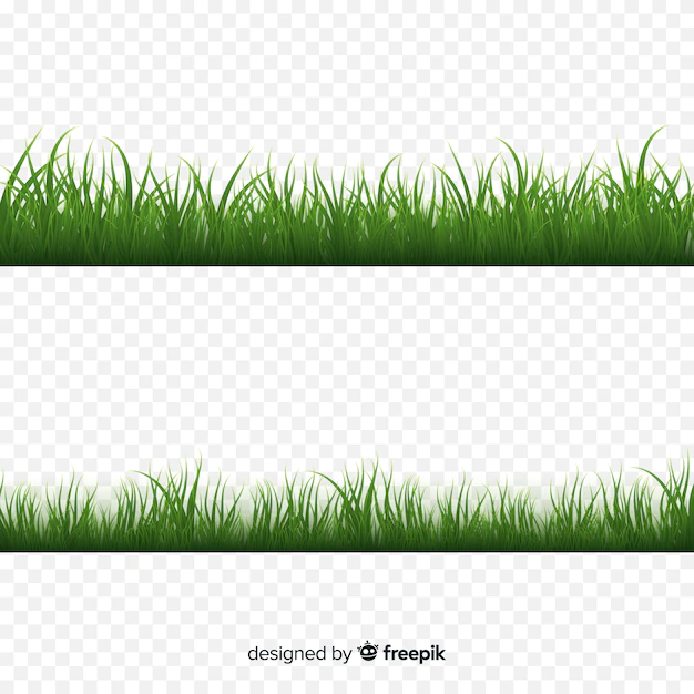 Free Vector | Green grass border realistic design