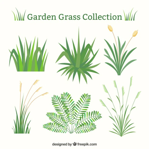 Free Vector | Green grass set in flat design