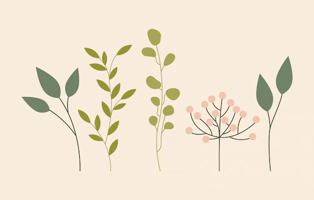 Free Vector | Green leaves foliage, flat style
