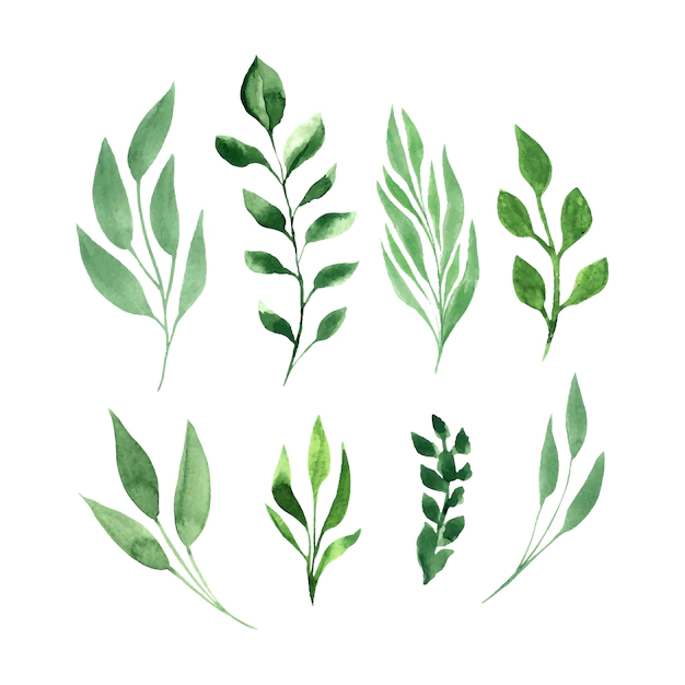 Free Vector | Green leaves vector watercolor set.
