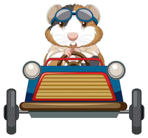 Free Vector | Guinea pig driving car toy cartoon