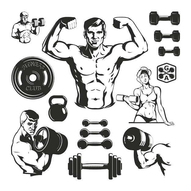 Free Vector | Gym fitness elements set