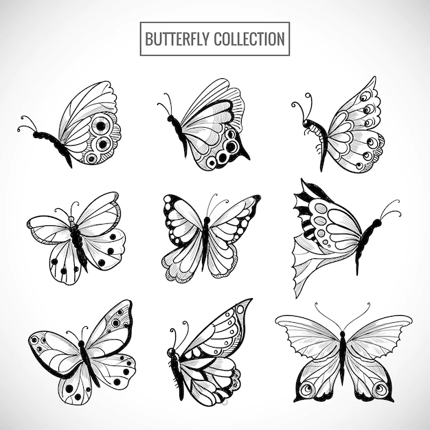 Free Vector | Hand draw collection of pretty butterflies design
