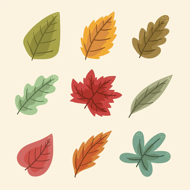Free Vector | Hand drawn autumn leaves collection
