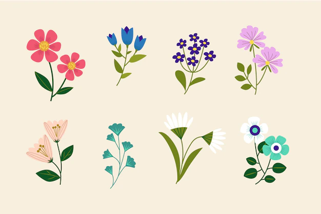 Free Vector | Hand drawn beautiful flowers collection