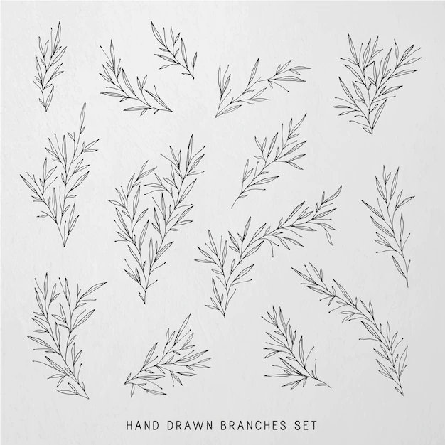 Free Vector | Hand drawn botanical illustrations