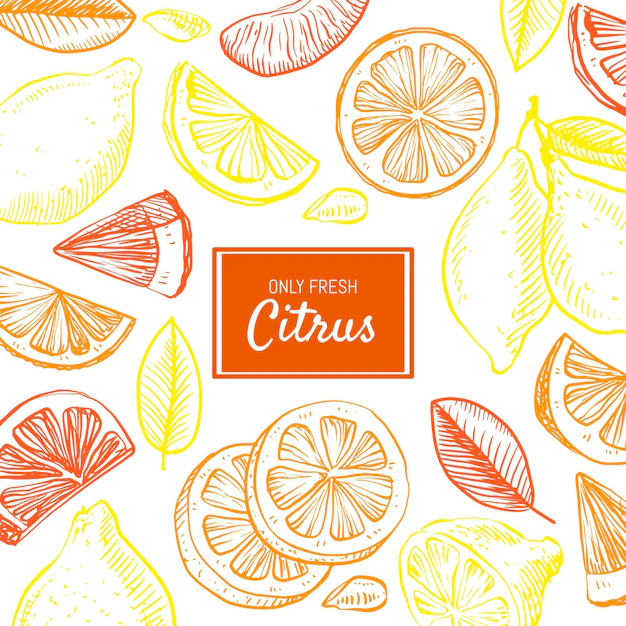 Free Vector | Hand drawn citrus background