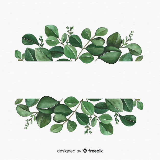 Free Vector | Hand drawn eucalyptus leaves background