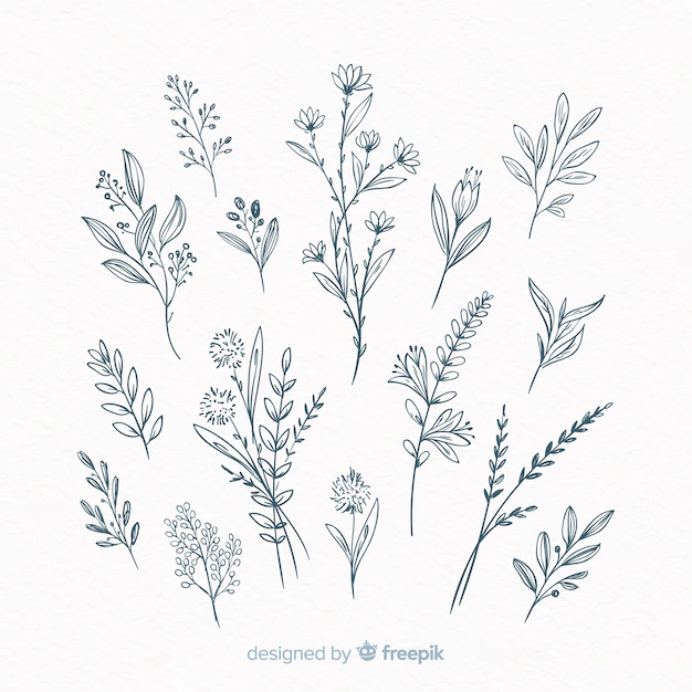 Free Vector | Hand drawn floral decorative elements