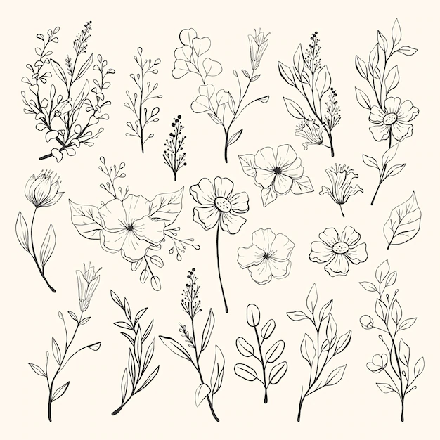 Free Vector | Hand drawn flower collection