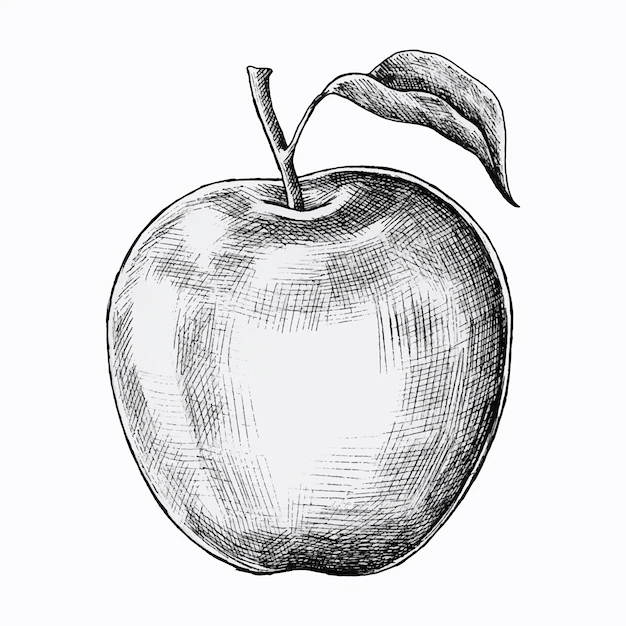 Free Vector | Hand drawn fresh apple vector