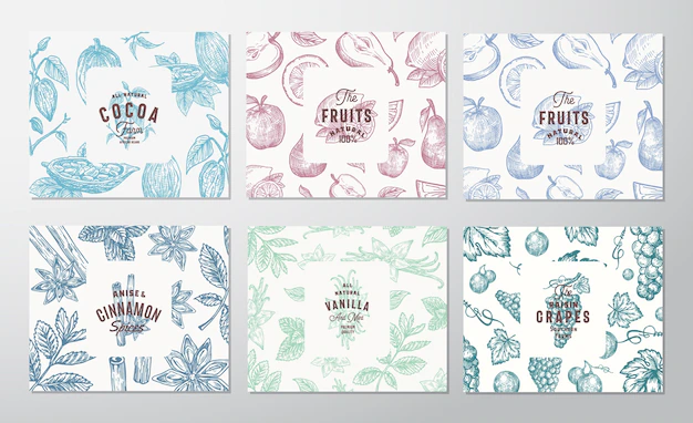 Free Vector | Hand drawn grapes, fruits, cocoa beans, mint, nuts and spices cards set.