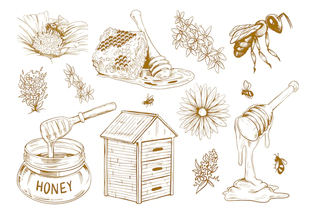 Free Vector | Hand drawn honey flat sketch set