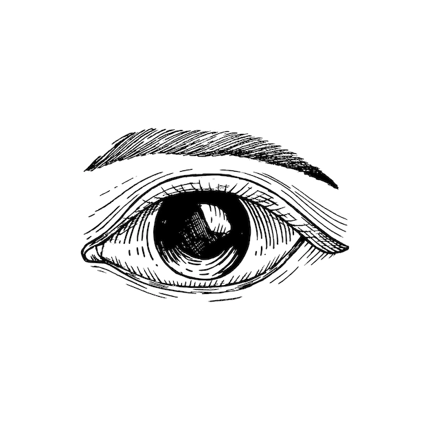 Free Vector | Hand drawn human eye