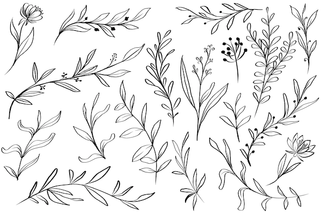 Free Vector | Hand drawn leaves floral isolated clipart