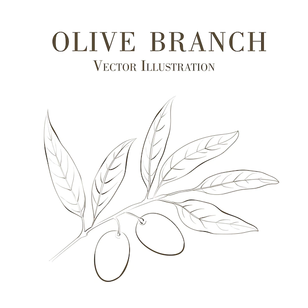 Free Vector | Hand drawn olive branch.
