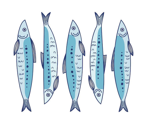 Free Vector | Hand drawn sardine illustration