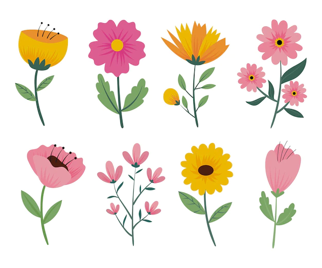 Free Vector | Hand drawn spring flowers set