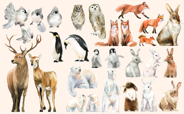 Free Vector | Hand-drawn wildlife set watercolor style