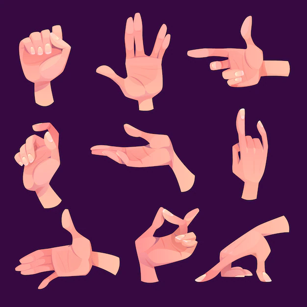 Free Vector | Hand gestures in different positions set isolated