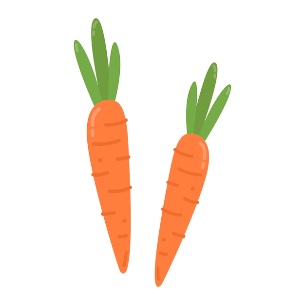 Free Vector | Healthy orange carrots graphic illustration