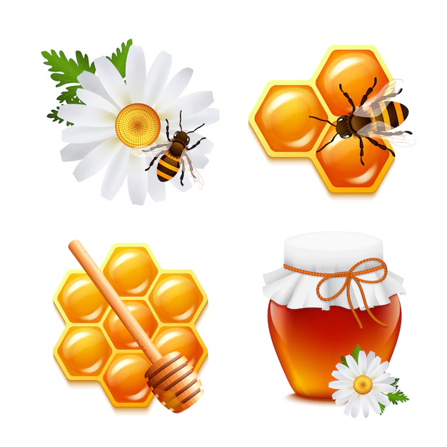 Free Vector | Honey food elements set with daisy bumblebee honeycomb isolated vector illustration