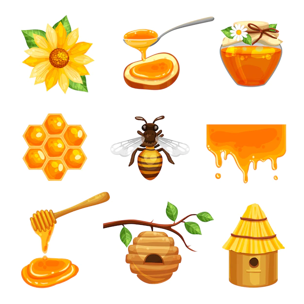 Free Vector | Honey isolated icon set