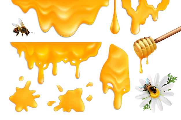 Free Vector | Honey splatters and bees colorful set realistic illustration