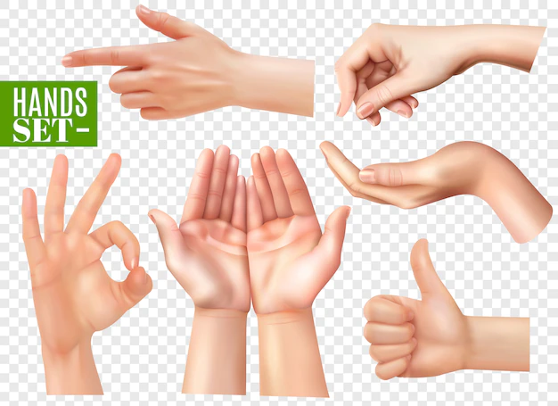 Free Vector | Human hands gestures realistic images set with pointing finger ok sign thumb up transparent